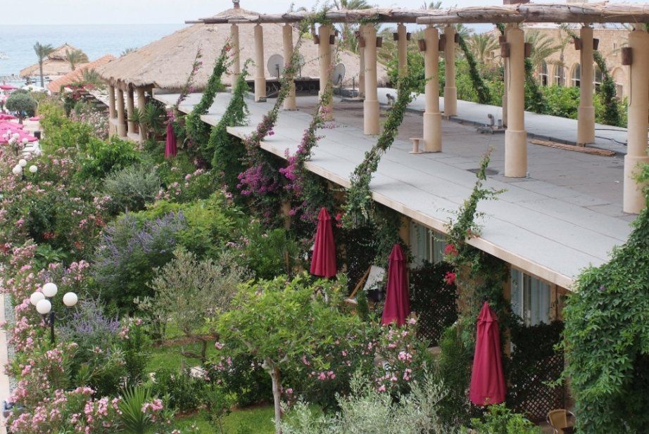 El'Hotel- Edde Sands Hotel & Wellness Resort Byblos Dış mekan fotoğraf